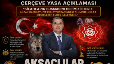 Devlet, merhamet sahibidir; fakat zaaf göstermez. Devlet, şefkatlidir; fakat otoritesinden