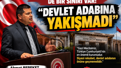 “Gazi Meclis’te Yaşananlar Devlet Adabına Yakışmadı”